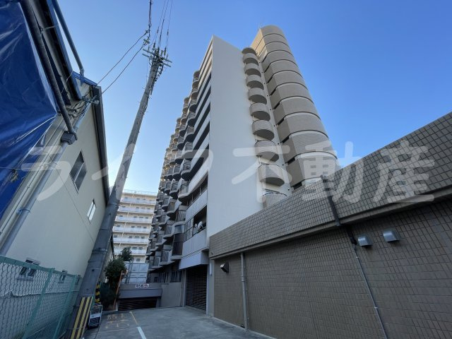 ロイヤルマツイ