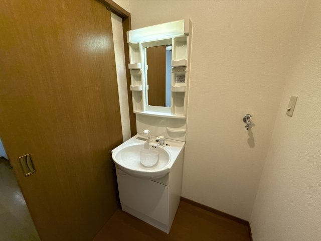 プレイン八代の洗面所
