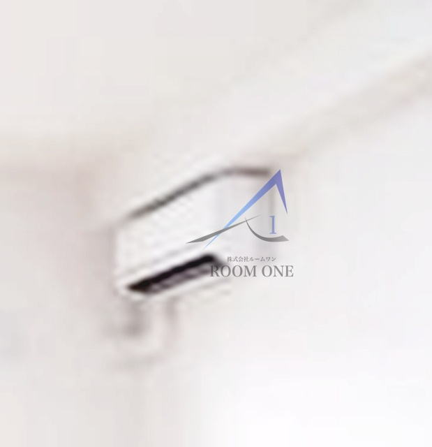 プラシードのその他