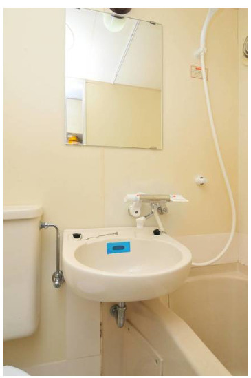 メゾンドグルローの洗面所