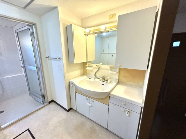 ウェル・メロード狩場台第２-14号棟の独立洗面台