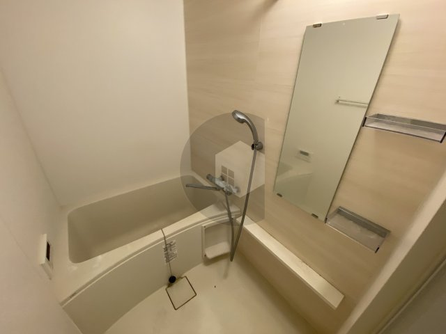 グランドゥーエ永和駅前の浴室