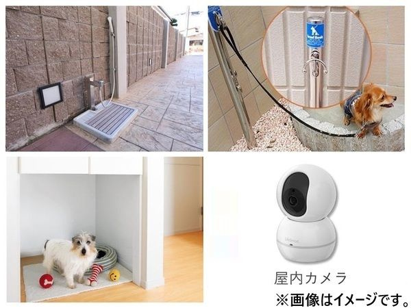 ｂｒｉｌｌａｎｔｅ　ｐａｗｓ 舎人 