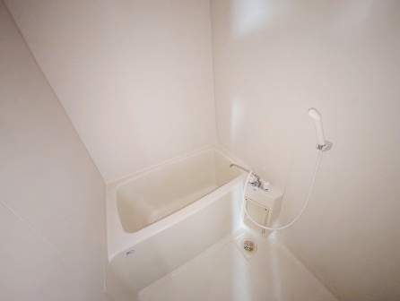 さいたま市桜区町谷４丁目の賃貸マンションの浴室