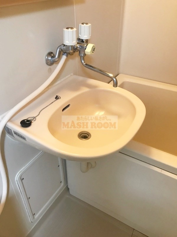 ハウスタチバナの洗面所