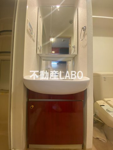 ジュネーゼグラン南堀江の洗面所