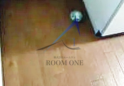 プラザクリヴィアの設備|洗濯機置き場です。