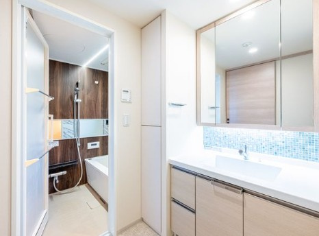 ディアスタ早稲田諏訪通りの洗面所