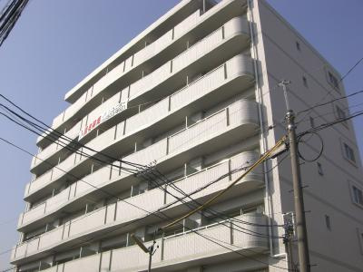 ホワイトドエル道徳