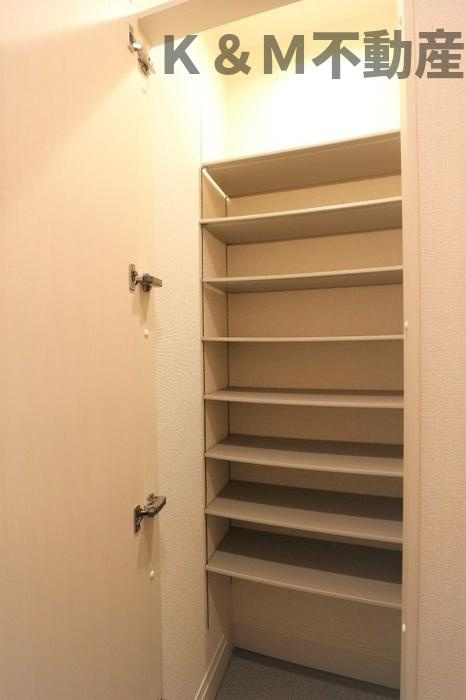 フラッツ酒井根　Ⅱ号棟の玄関|収納もある玄関です