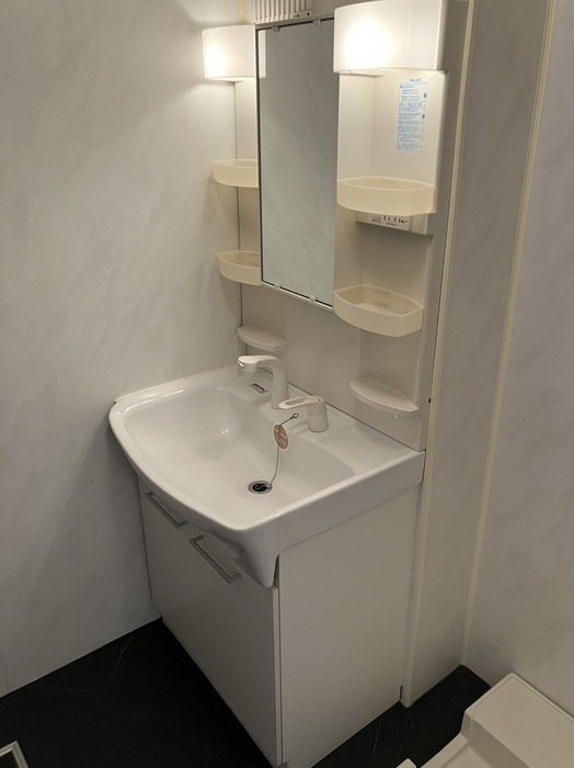 カーサ33の洗面所