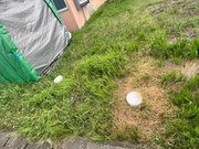 花巻市二枚橋町南1丁目40-3 他5筆