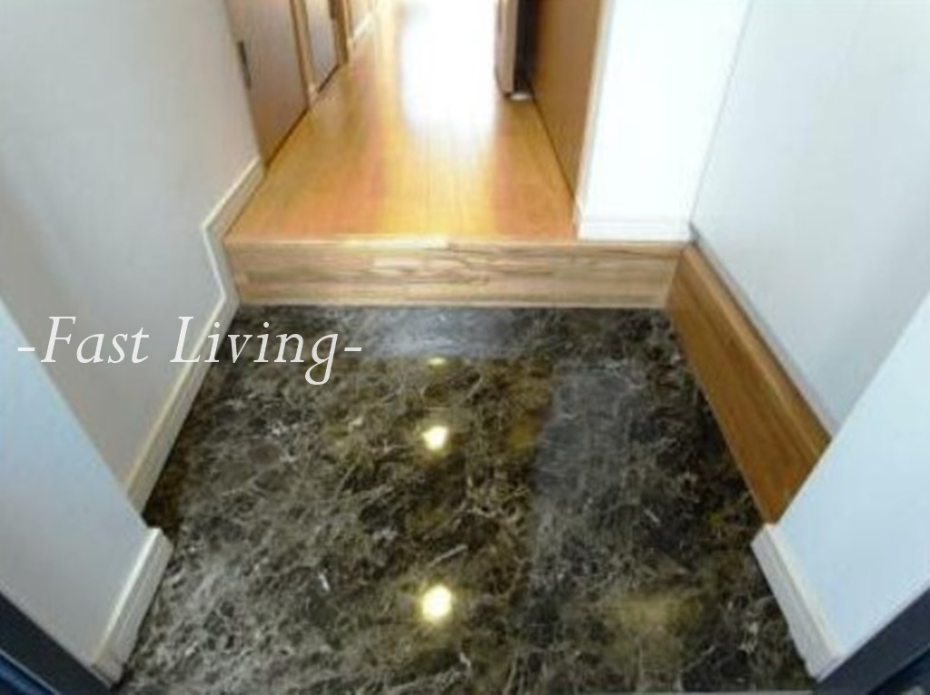 リブリ・Fionaの玄関