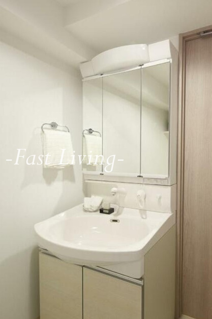 リブリ・Fionaの洗面所