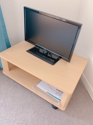 レオパレスアザレのその他|テレビ