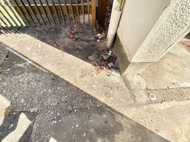 【外観】の画像