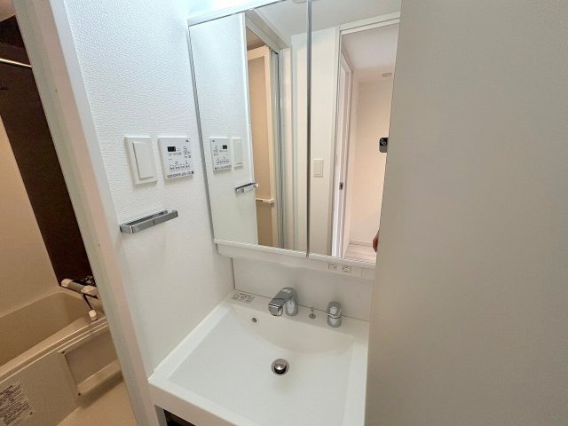 ライジングメゾン新大阪サウスの洗面所