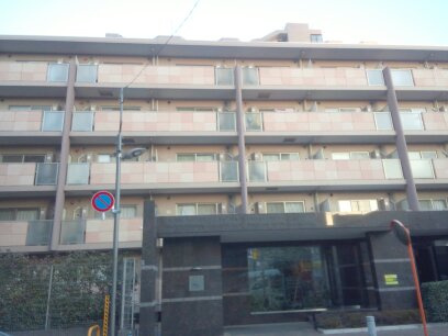 セレリーオ・ニッコーの外観