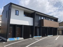 サザン・フォレストの画像