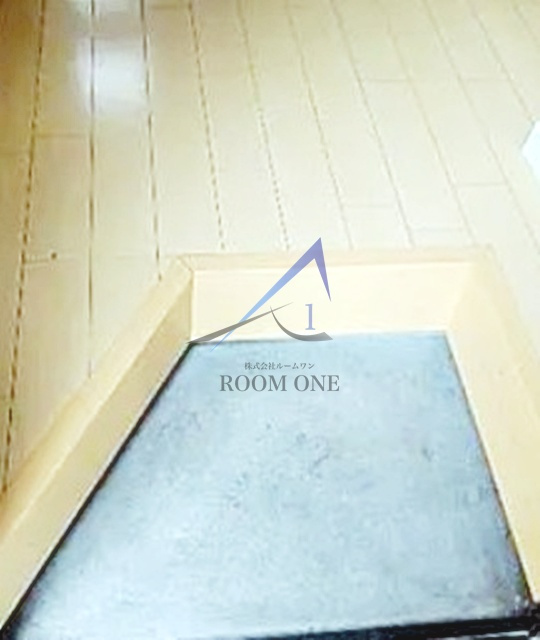 シャトー新大塚の玄関|玄関です。