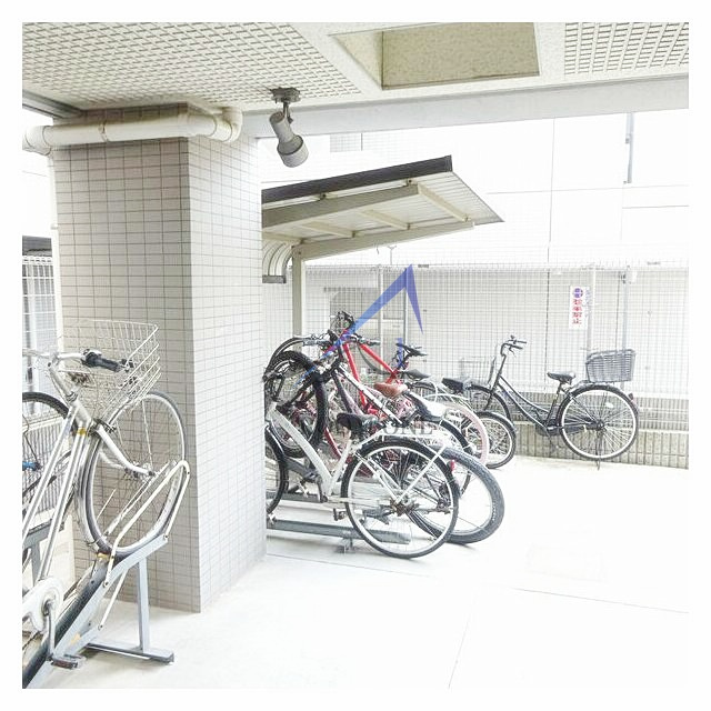 ボヌールＴ．Ｙのその他