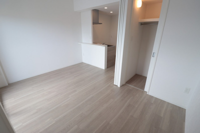 【内装】 | LUMINOUS放出（旧セレニテ放出リアン）