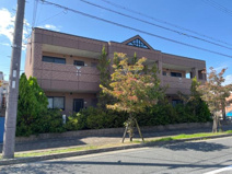 ラウレアの画像