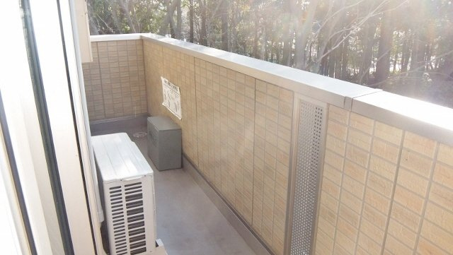 サリジエ　Ｃ棟のバルコニー|日当たり良好バルコニー