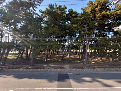 【外観】 | 浜の宮駅：新築戸建住宅 | 道路を挟んだ向かい側が浜の宮公園です　松林の向こうがグラウンド（野球場）です　現地から０７９－４２４－７５７５へお電話いただけば最短５分で内覧できます