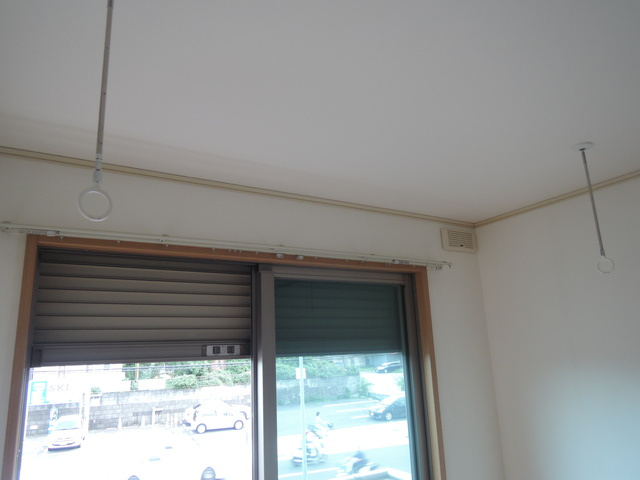 クリプトメリアのその他|雨の日に便利な室内物干フック