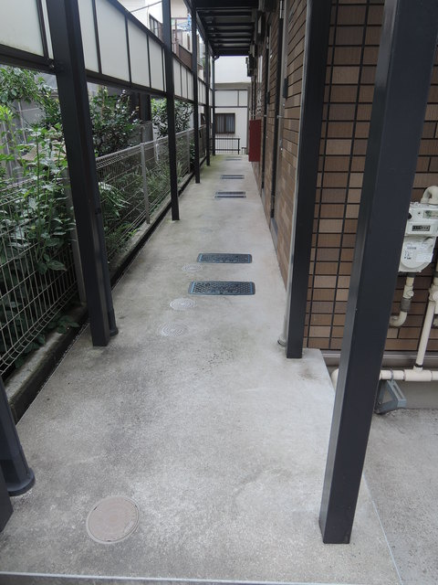 クリプトメリアのその他