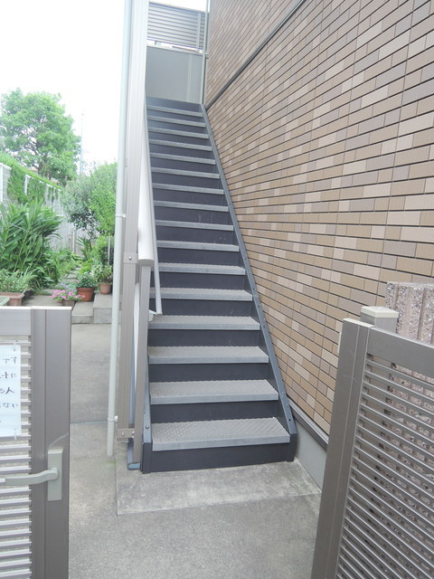 クリプトメリアの周辺