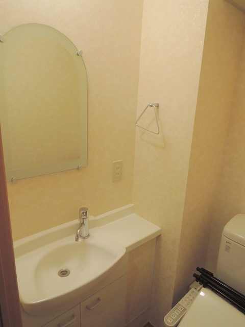 クリプトメリアの洗面所|ラバトリータイプの洗面台