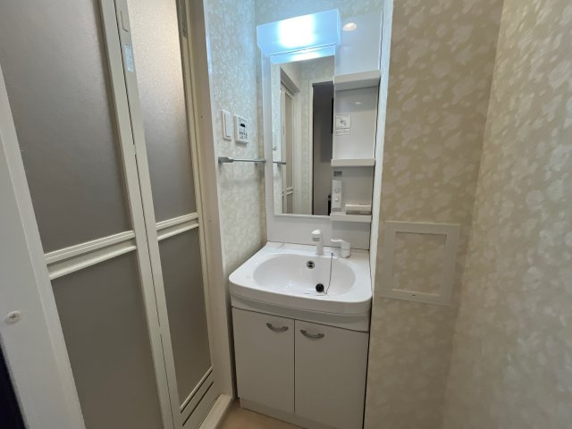 Luxe姫路の洗面所