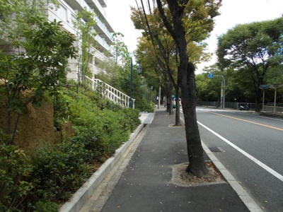 【周辺】 | リバーガーデン千里丘けやき通り