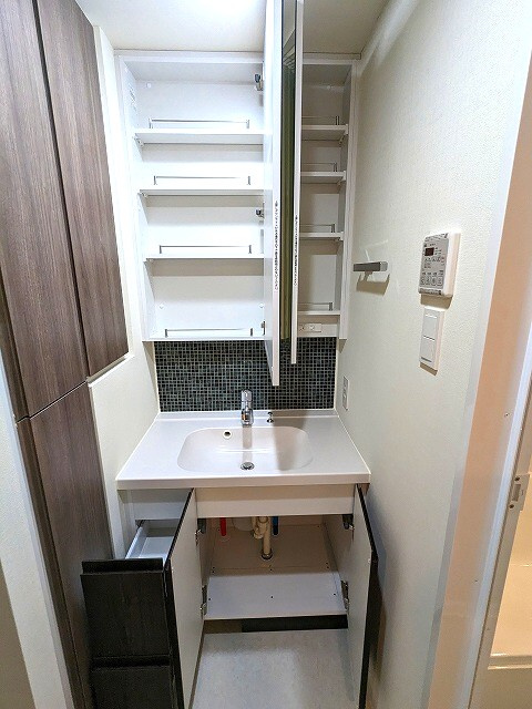 DUE入谷Ⅲの設備|2面鏡付きハンドシャワー付トイレと独立した洗面台です、洗面台の下にはヘルスメーターストックスペースあります