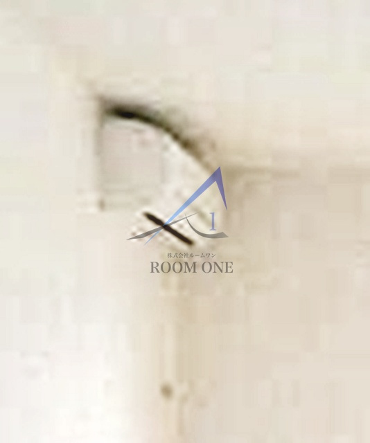 リースランド十条のその他