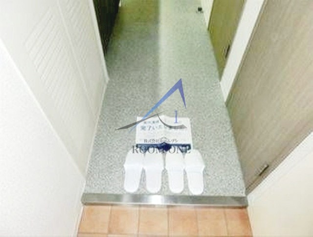 メゾン・ド・ヴィレ品川の玄関|玄関です。