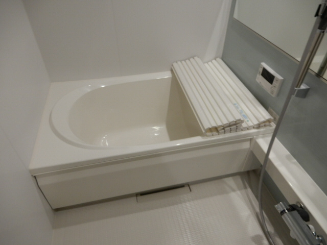 メゾンヴィアソーレAの浴室