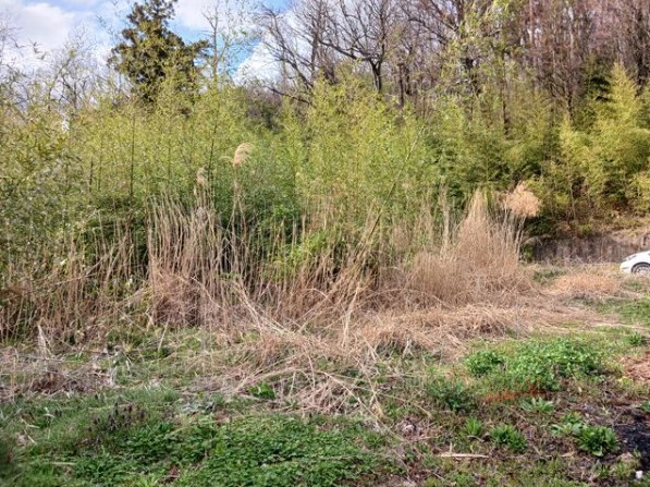 郡山市熱海町高玉字南泥布沢　売地