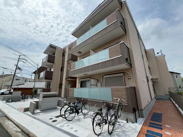 F　asecia　propusの外観