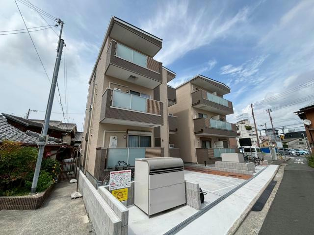 F　asecia　propusの外観