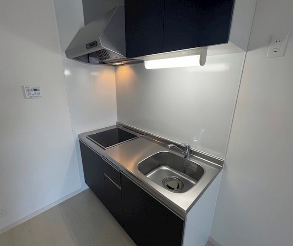 F　asecia　propusのキッチン