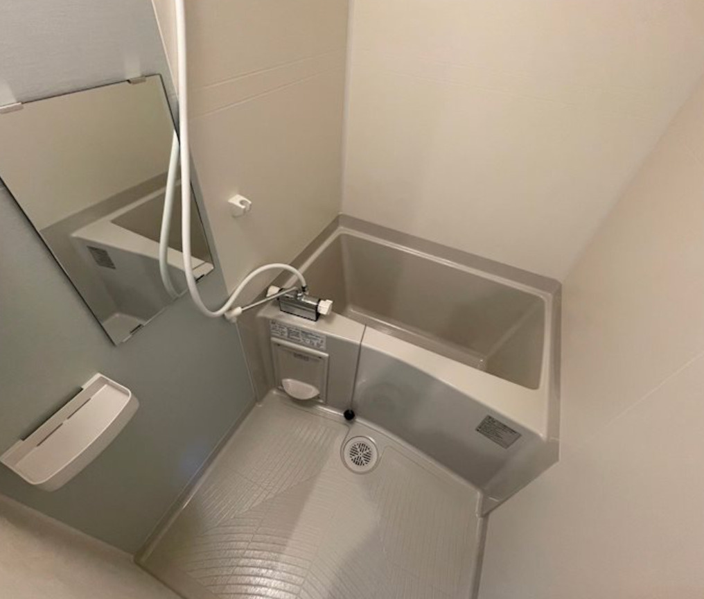 F　asecia　propusの浴室