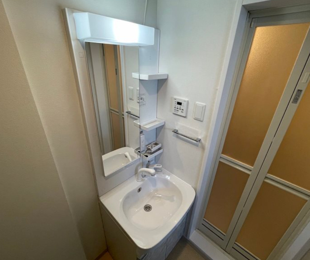 F　asecia　propusの洗面所