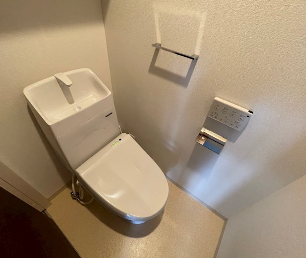 F　asecia　propusのトイレ