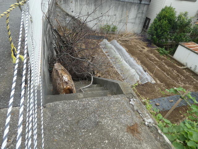 松戸市二ツ木の売地の周辺