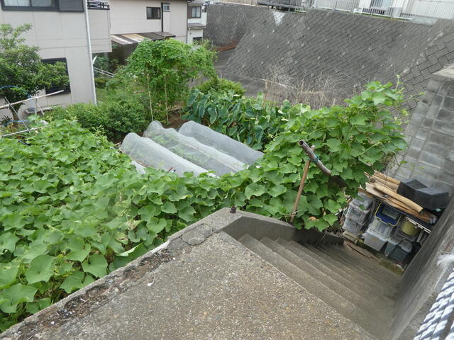 松戸市二ツ木の売地の周辺