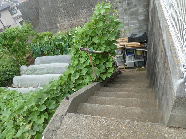 松戸市二ツ木の売地の周辺