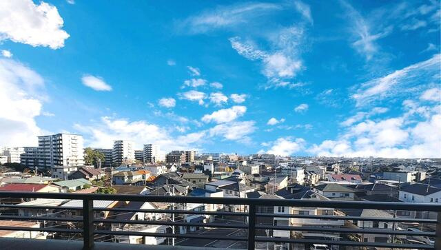 レクセルマンション高根公団の展望